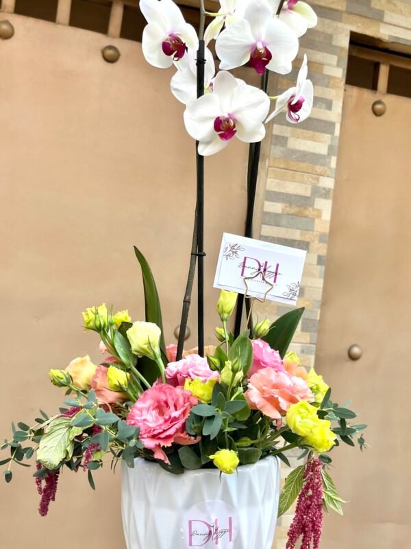 Orquídea armonía floral