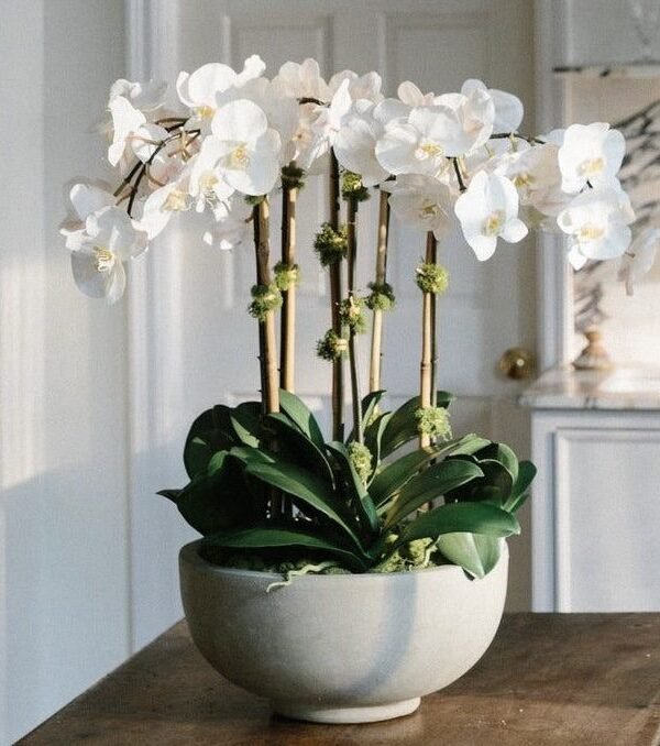 Arreglo de orquídeas 6 varas, pueden ser colores mixtos